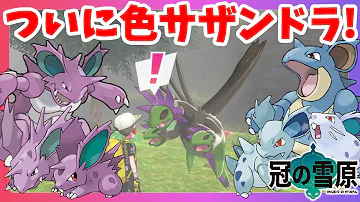 ポケモン剣盾サザンドラ