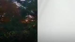 Yürüyorum Dalgın Dalgın.salih Kardeşimle🙏🙏🙏🙏