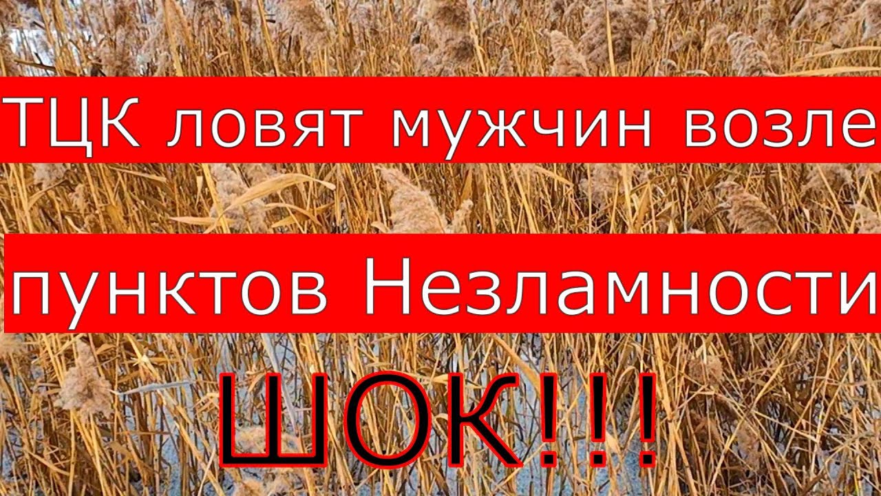 Пошёл в пункт Незламности !чтоб погреться а тебя бусифецыровали