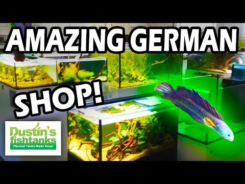 Amazing Aquarium Store in Germany! Come take a tour