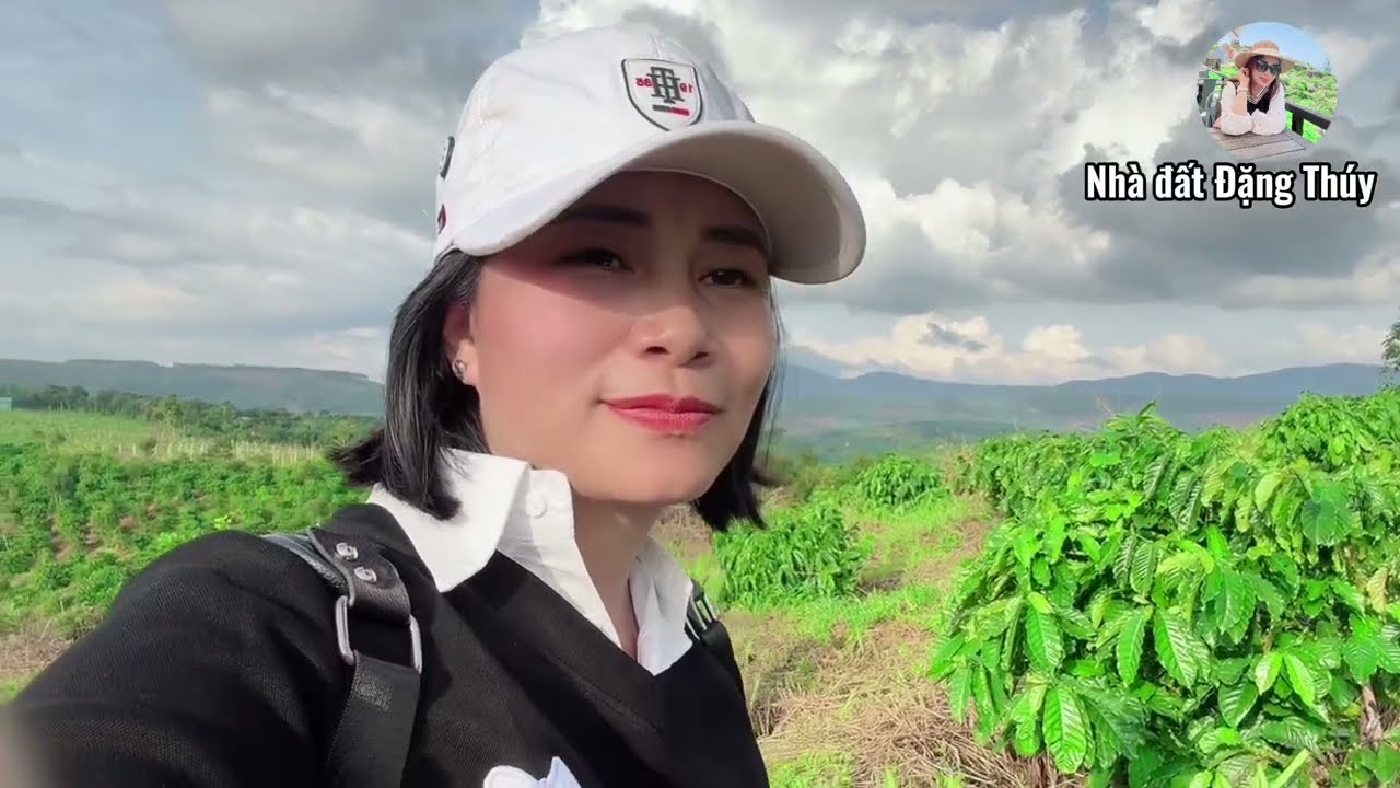 💥 CẮT LỖ KHỦNG – SIÊU PHẨM CÀ PHÊ CHỈ 350TR/HA! RẺ HƠN CẢ MUA ĐẤT TRỐNG! 💥