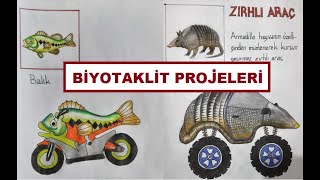 Biyotaklit Proje Örnekleri