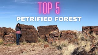 Top 5 Things to See in Petrified Forest National Park