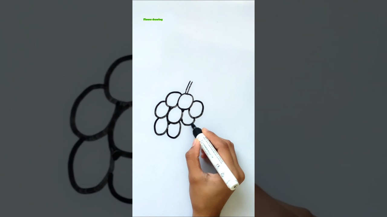 How to draw Grapes 