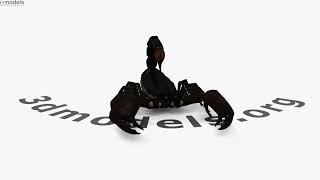 Emperor Scorpion 3D model by 3DModels.org