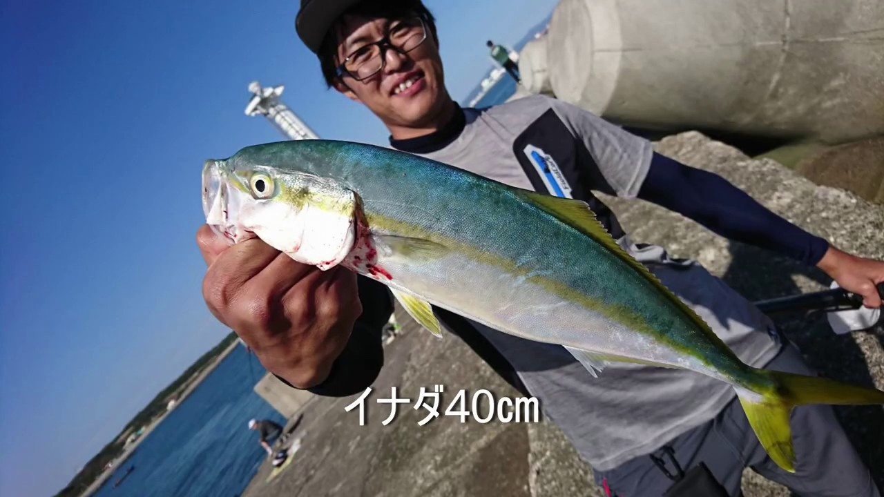 茨城県磯崎港 青物と小物釣り イナダ Youtube