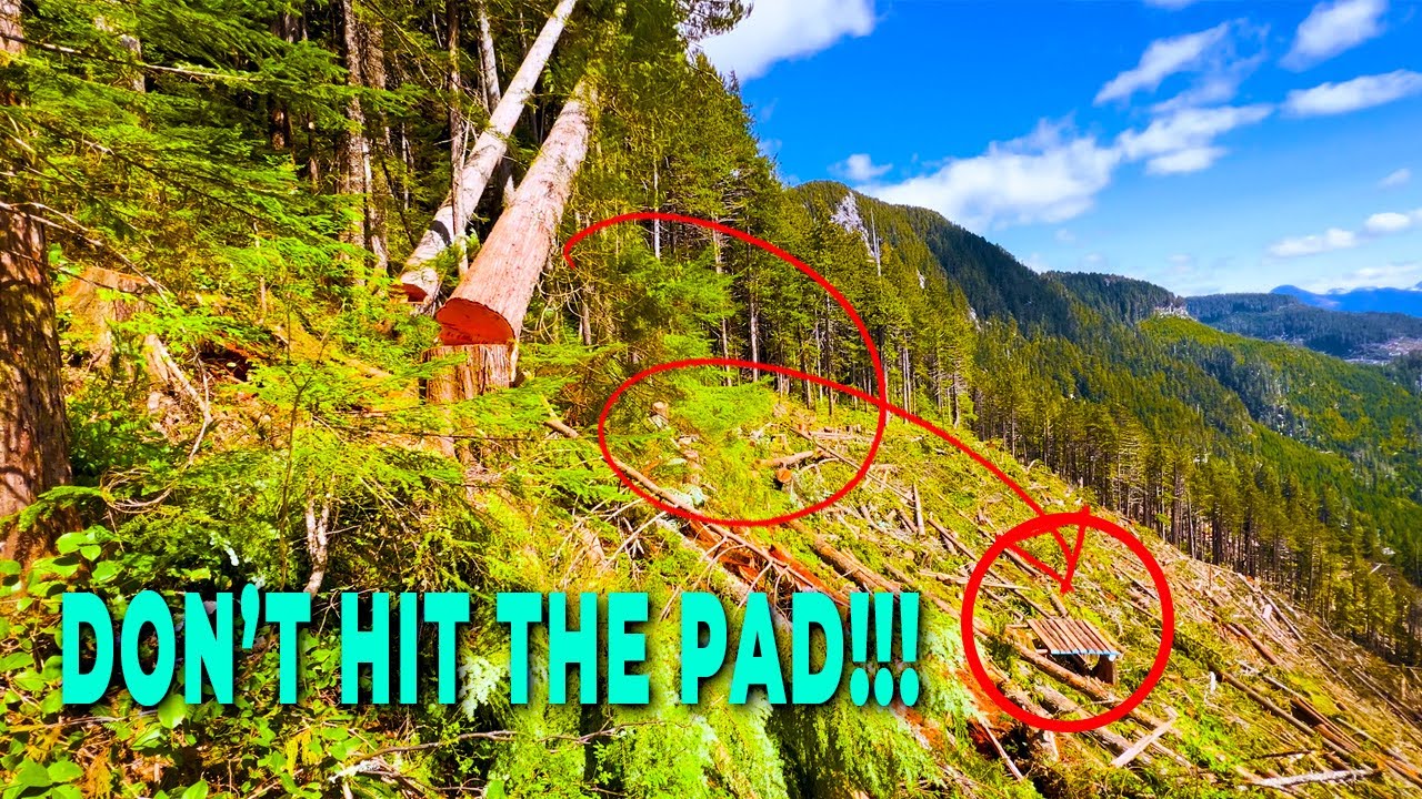 108. High Stumps to Protect the Pad - YouTube