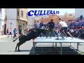 ✅ 2019 CULLERA 03 ◾  ENTRA Ganaderia Toros La Paloma