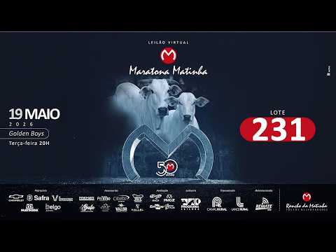 LOTE 231