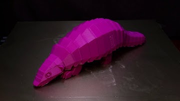Pangolin 3d Print Time-Lapse