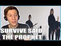 Survive Said The Prophet - "Papersky" - REACTION