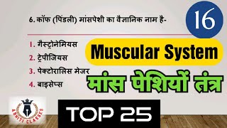 #मांस_पेशिय_तन्त्र|TOP 25|#Muscular_System||#शारीरिक_शिक्षा||#physicaleducation#kvs #uplt #tgt #nvs