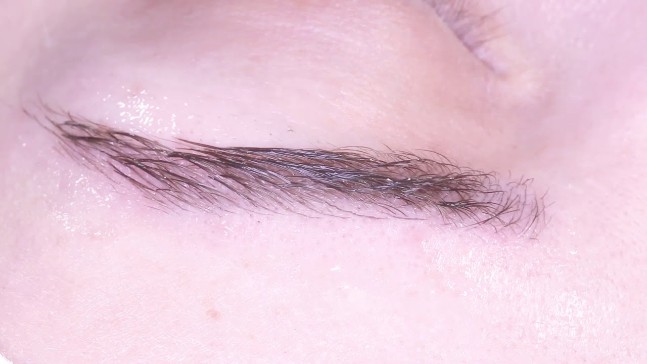 Sugar EyeBrows YouTube