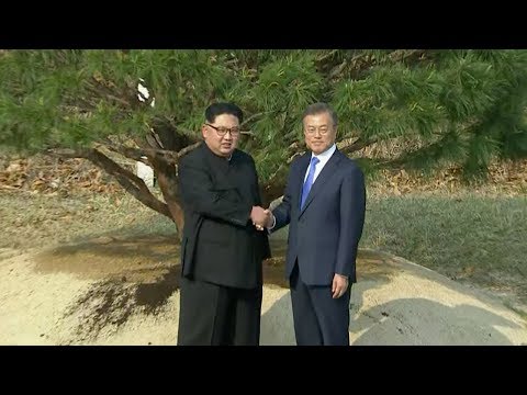 Kim and Moon plant tree to symbolize peace