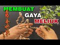 MEMBUAT BONSAI SIMPEL || MAKE SIMPLE BONSAI #art #indonesia #bonsai #amazing