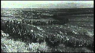 The War Horse