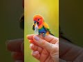 #kidsvideo #cartoon #kidbuddiesfunlearning #viralvideo #cocomelon #kiddelearning