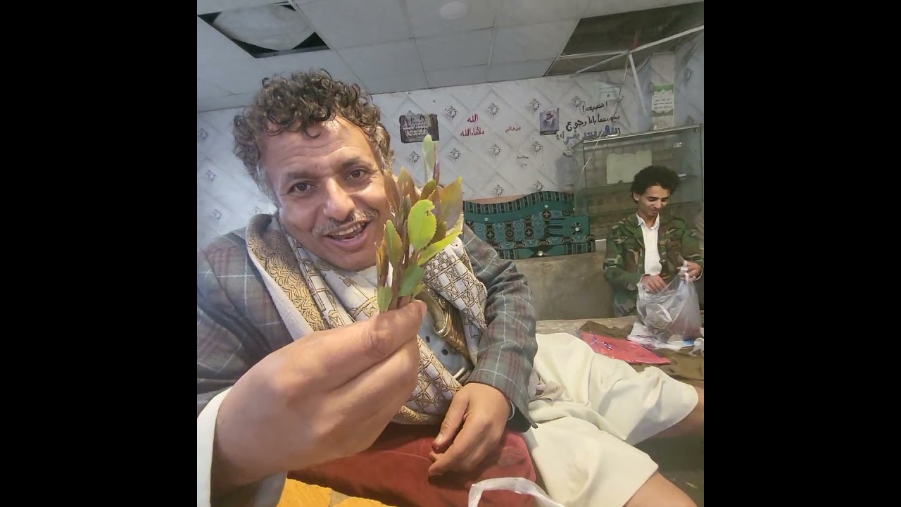 qat time in yemen