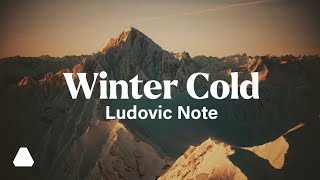 Ludovic Note - Winter Cold (Official Music Video)