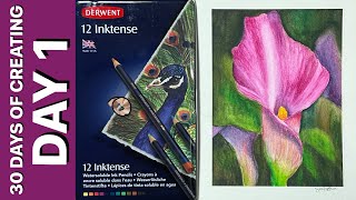 (594) 30 DAY CHALLENGE - Day 1 - Derwent Inktense Pencil Technique- Watercolor Calla Lily