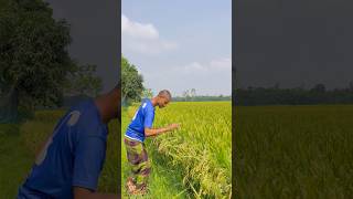 Best tending￼ video of fun 2026 ￼#reels #for #bd #funny #video #comedy #fun.