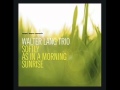 Walter Lang Trio - Monsieur Hulot