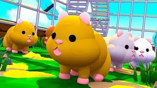 Hamster Simulator Game Roblox