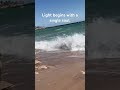 Light begins with a single soul.