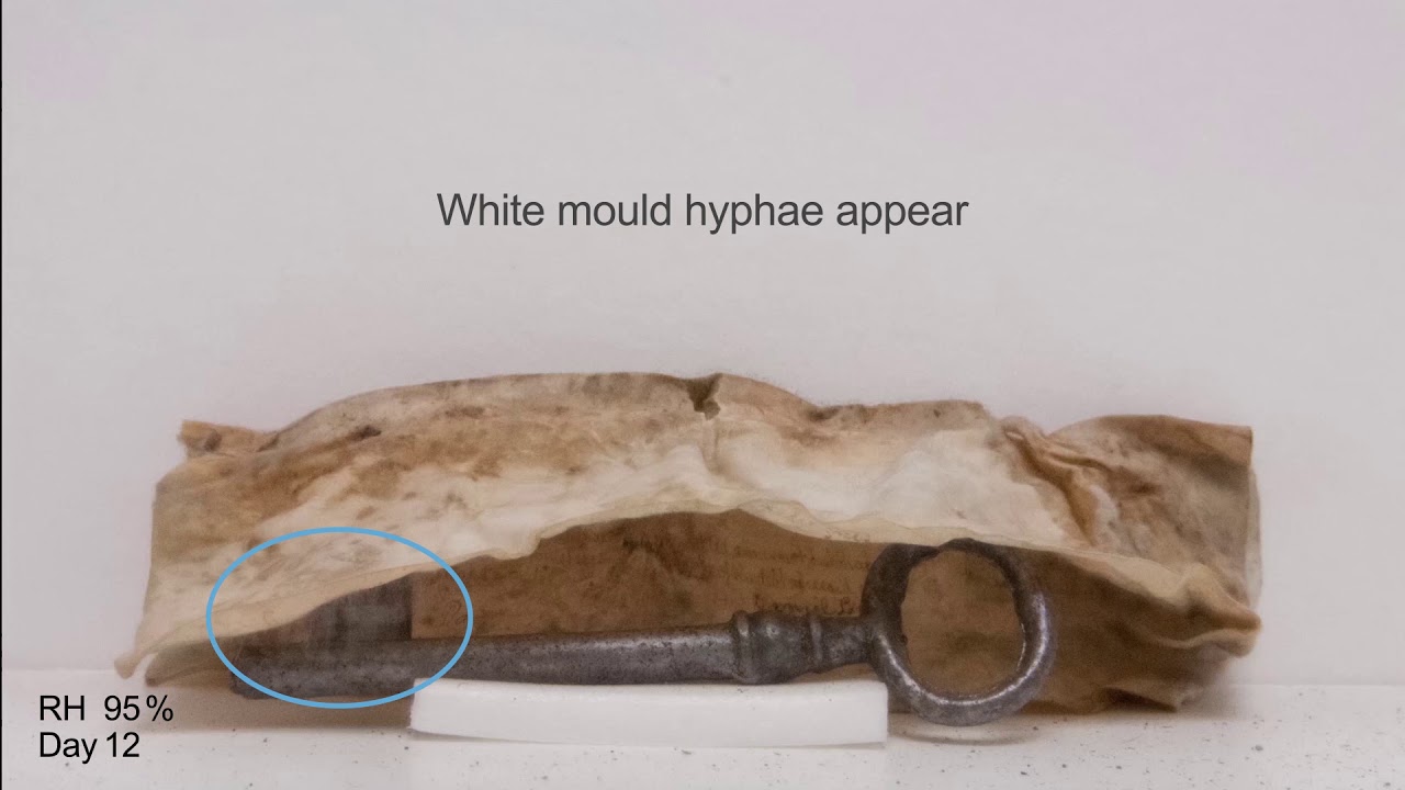 Time-lapse Video of Deterioration: Parchment and Iron Key, Incorrect ...