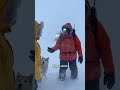 ARCTIC WHITEOUT 61 Year Old Woman Survives -40°C by Holding Her Husky Until Rescue Arrives #rescue