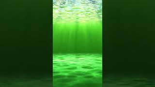 Underwater Green Screen Overlay