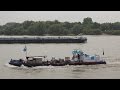 Scheepvaart op de rijn  shipspotting on the rhine  tolkamer  europakade  vracht cargo 