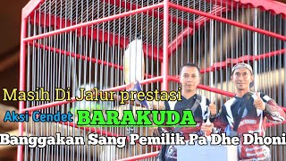 LATPRES KUMAN EMPANG : AKSI CENDET BARAKUDA BANGGAKAN SANG PEMILIK