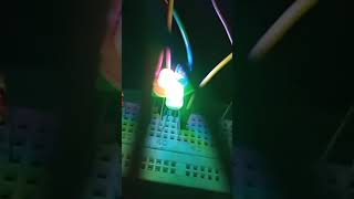 Beginner's Guide to LED Light Testing in IoT