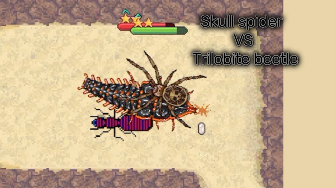 Skull spider VS Trilobite beetle [pocket ants]