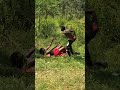 The owner of the farm scared them