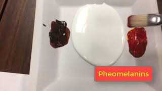 Hands Project Complete