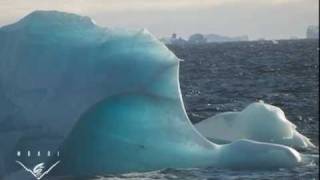 Antarctic icebergs and the carbon cycle