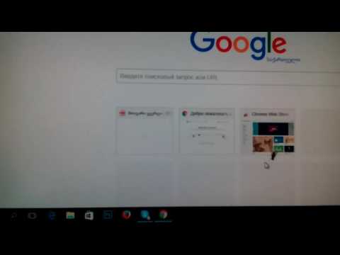 ხალისიანი ბუზი