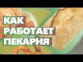 Как открыть пекарню. Как работает пекарня проект пекарни в Москве.