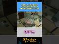 【速報】ヤニねこ第3話のラップ音の正体がまさかの●●だったことが判明w #ヤニねこ #アニメ #漫画 #反応集