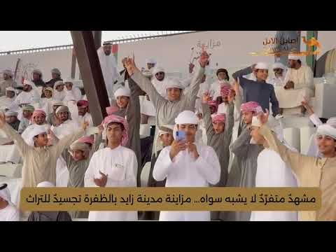 مشهد متفر د لا يشبه سواه مزاينة مدينة زايد بالظفرة تجسيد للتراث