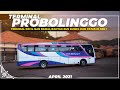Edisi Ramadhan 2021 : Ngabuburit Berburu Bus di Terminal Probolinggo, Banyak Bus Bumelnya !