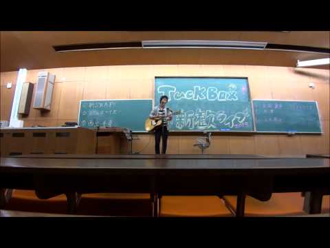 マイアミソング/andymori(cover)
