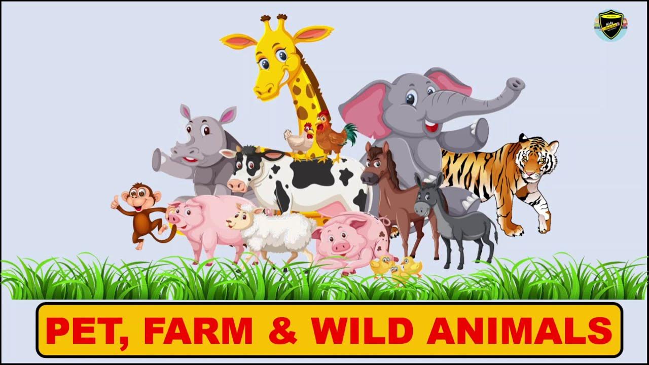 Pet, Farm, and Wild Animals | Types of Animals for Kids - YouTube