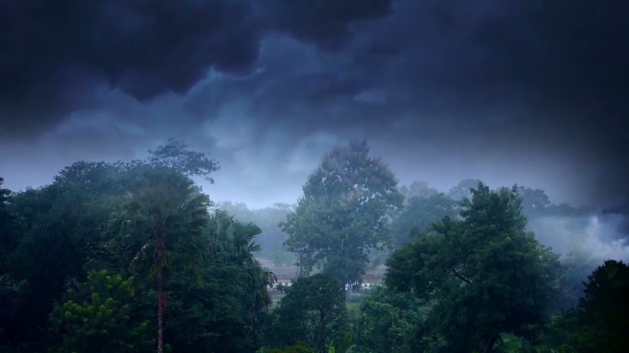 4 Horas Sonido de Lluvia fuerte para dormir, Tormenta Tropical Viento Lluvia y Truenos, Relajarse