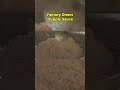 Sauce manufacturer
