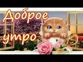 С ДОБРЫМ УТРОМ! ХОРОШЕГО ДНЯ И ОТЛИЧНОГО НАСТРОЕНИЯ