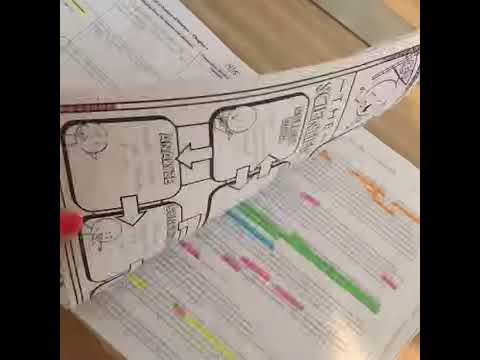 Interactive Notebooks