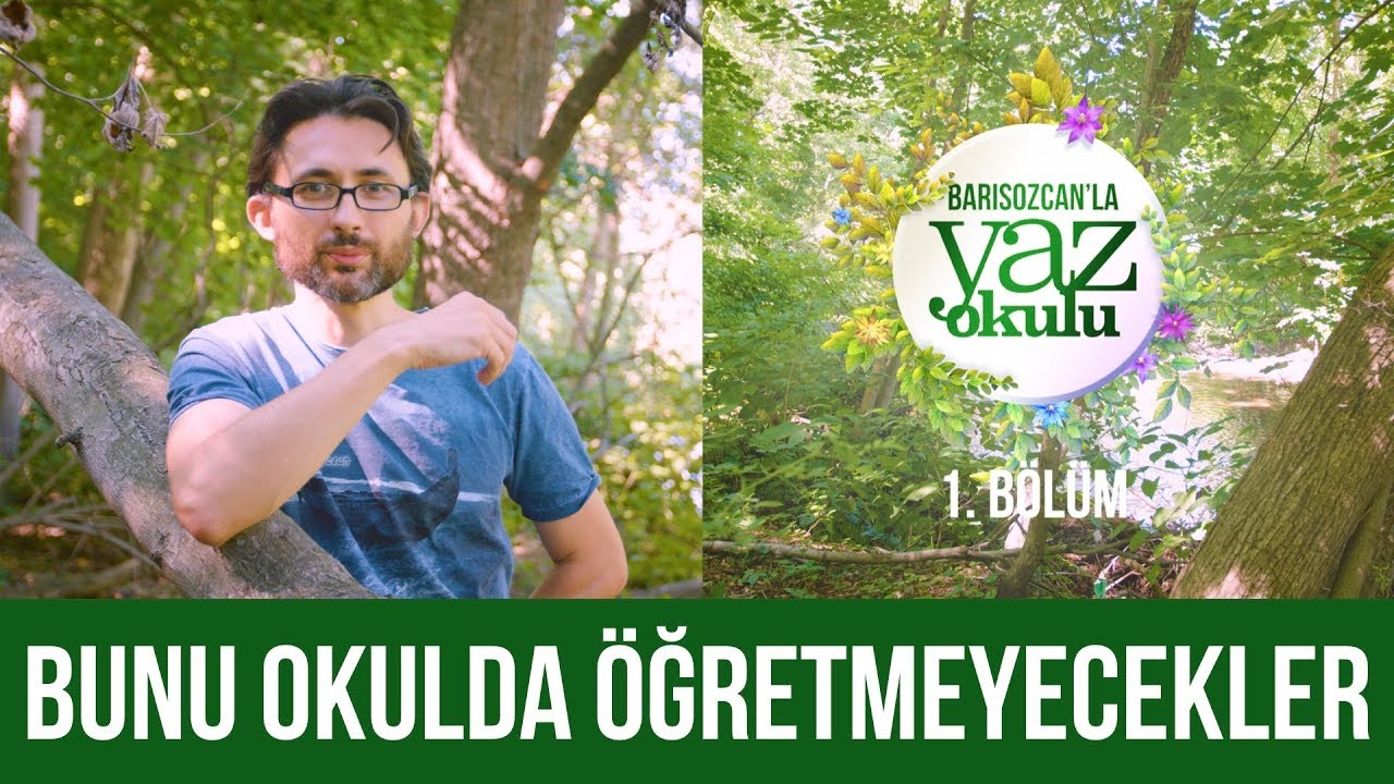 Bunu Size Okulda Öğretmeyecekler - Yaz Okulu 1